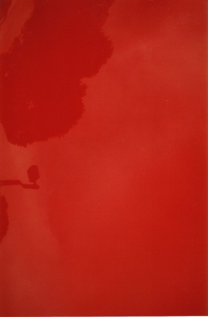 Roja, 2000 Fotografía 198 x 127 cm. Edición de 5 ejemplares
