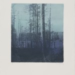 Paul Winstanley: Landscape N. 42, 2010. Aguatinta iluminado a mano con acrílico, monotipo, 64,8 x 56 cm